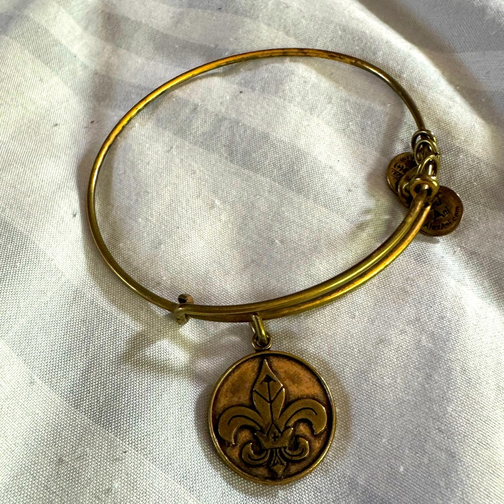 Alex and ani bangle